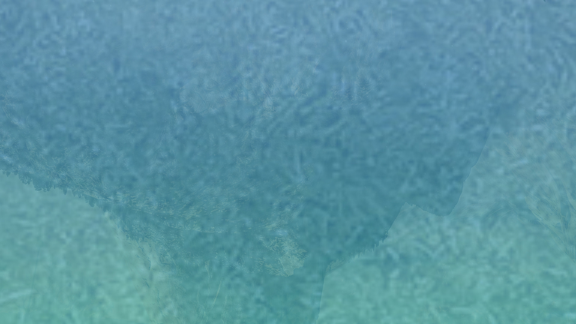 手机号测压网页